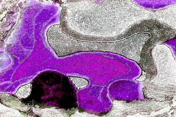 AP 14E1